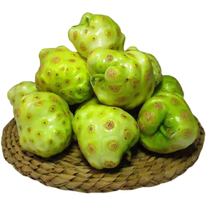 Nuo Li Guo 诺丽果, Dried Morinda Citrifolia, Dried Noni Fruits, Hai Ba Ji Tian-Health Wisdom™