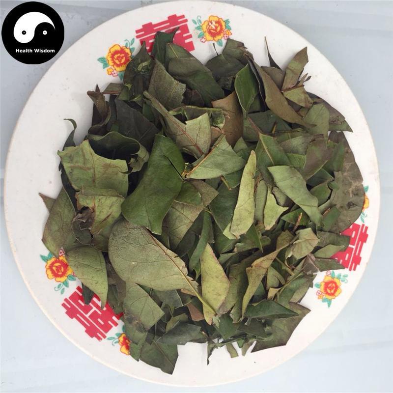 Nv Zhen Ye 女貞葉, Folium Ligustri Lucidi, Glossy Privet Leaf-Health Wisdom™