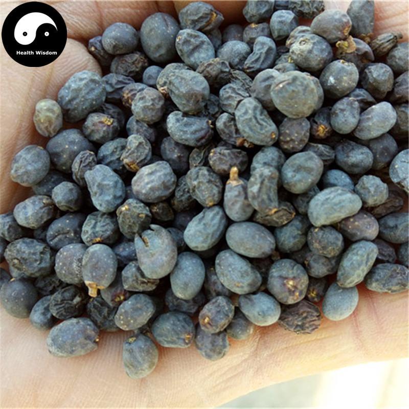 Nv Zhen Zi 女貞子, Fructus Ligustri Lucidi, Glossy Privet Fruit-Health Wisdom™