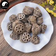 Ou Jie 藕節, Nodus Nelumbinis Rhizomatis, Lotus Rhizome Node-Health Wisdom™