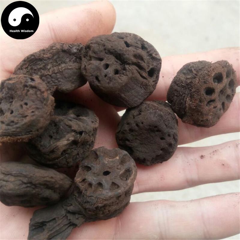 Ou Jie Tan 藕節碳, Nodus Nelumbinis Rhizomatis, Lotus Rhizome Node-Health Wisdom™