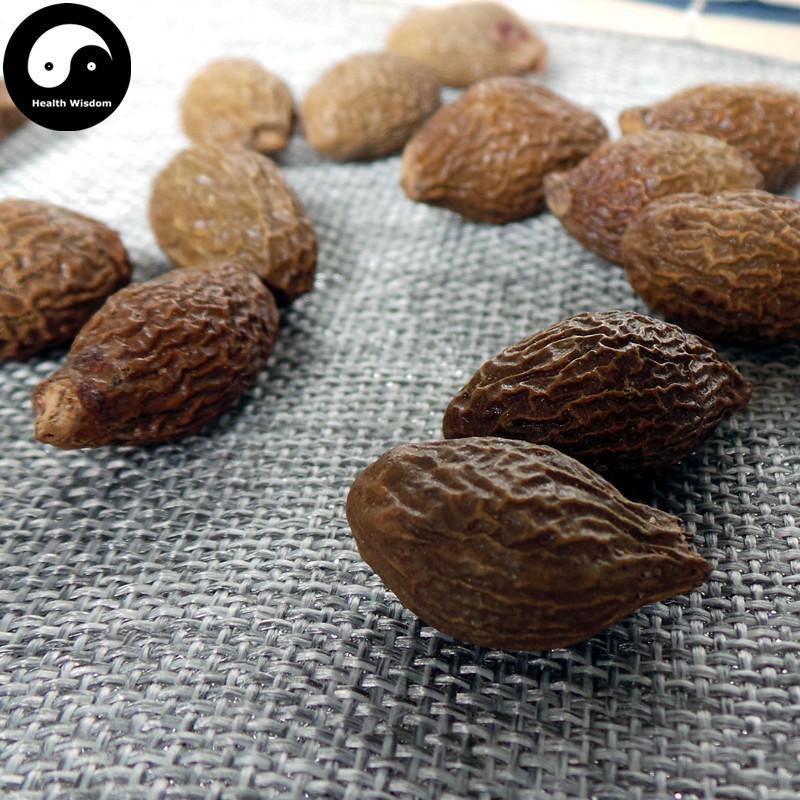 Pang Da Hai 胖大海, Boat-fruited Scaphium Seed, Semen Sterculiae Lychnophorae-Health Wisdom™