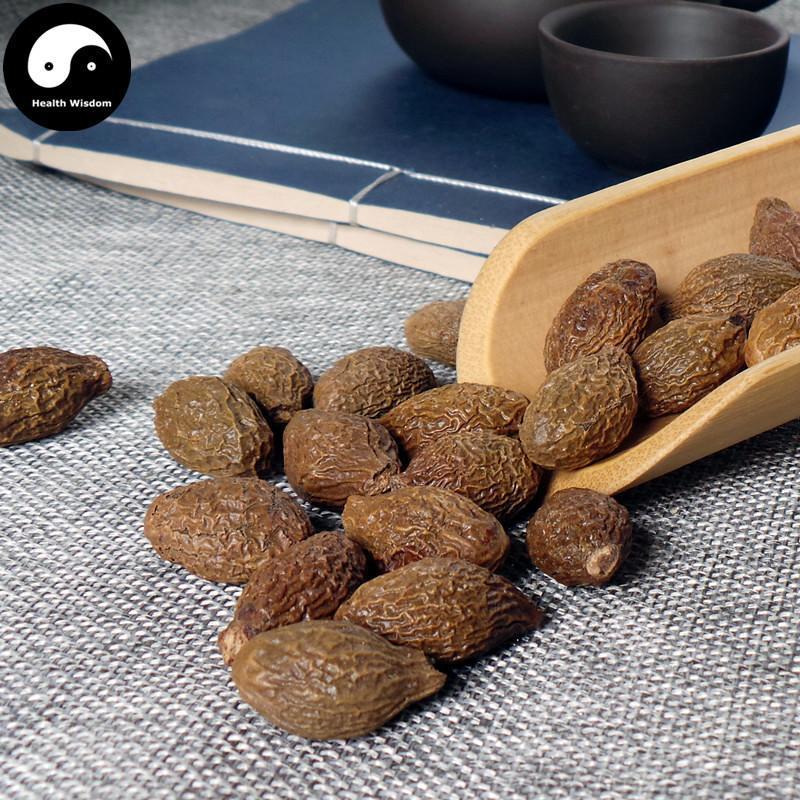 Pang Da Hai 胖大海, Boat-fruited Scaphium Seed, Semen Sterculiae Lychnophorae-Health Wisdom™