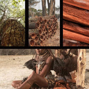 Pau De Cabinda, Pausinystalia Macroceras Bark, Ka Bin Da Shu Pi-Health Wisdom™