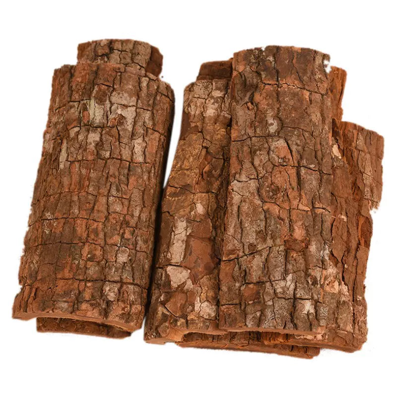 Pau De Cabinda, Pausinystalia Macroceras Bark, Ka Bin Da Shu Pi-Health Wisdom™