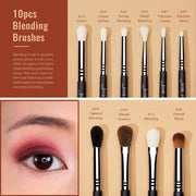 Perfect Eye Makeup Brushes Set,Professional Makeup Brush,Synthetic Eye Blending Brush Eyeshadow Brush Eyebrow Crease Shader T341-Health Wisdom™