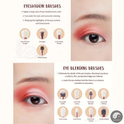 Perfect Makeup Brush set Free Shipping, 3- 5pcs Makeup Brushes,Blending Foundation Eyeshadow Liner Powder Contour Highlight T228-Health Wisdom™