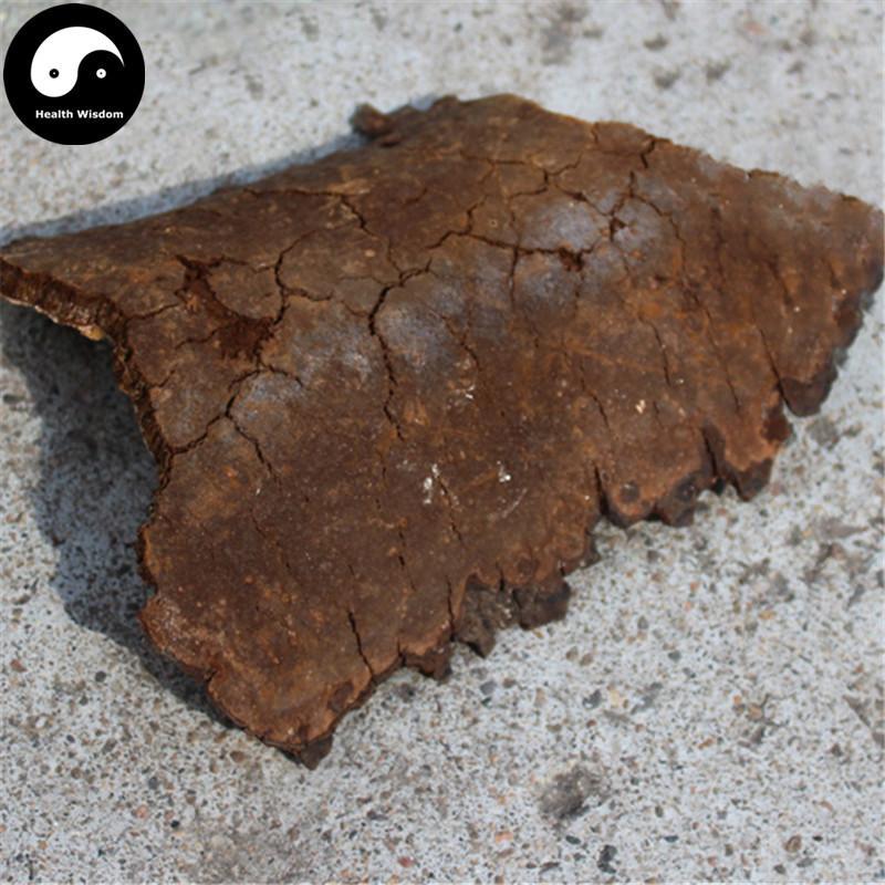 Phellinus, Ban He Kong Jun 斑褐孔菌-Health Wisdom™