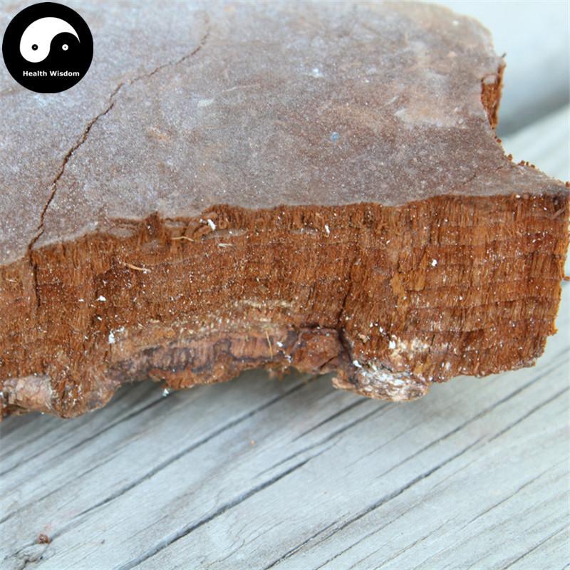Phellinus, Ban He Kong Jun 斑褐孔菌-Health Wisdom™
