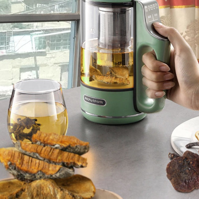 Phellinus Linteus, Mesima, Meshimakobu, Song-Gen, Sang-Hwang, Sang Huang 桑黄-Health Wisdom™