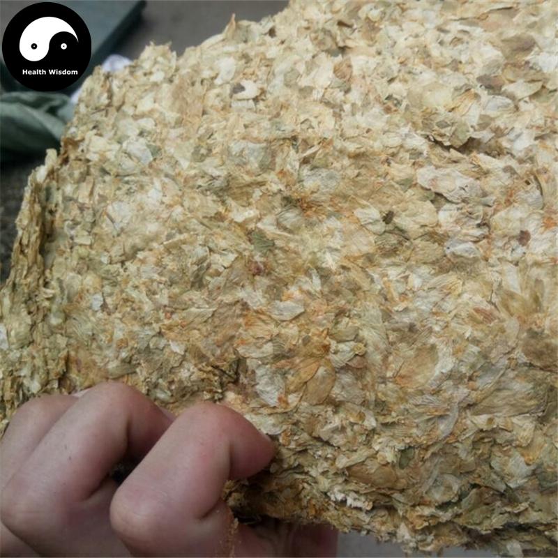 Pi Jiu Hua 啤酒花, Flos Humuli Lupuli, European Hop Flower, She Ma Hua-Health Wisdom™