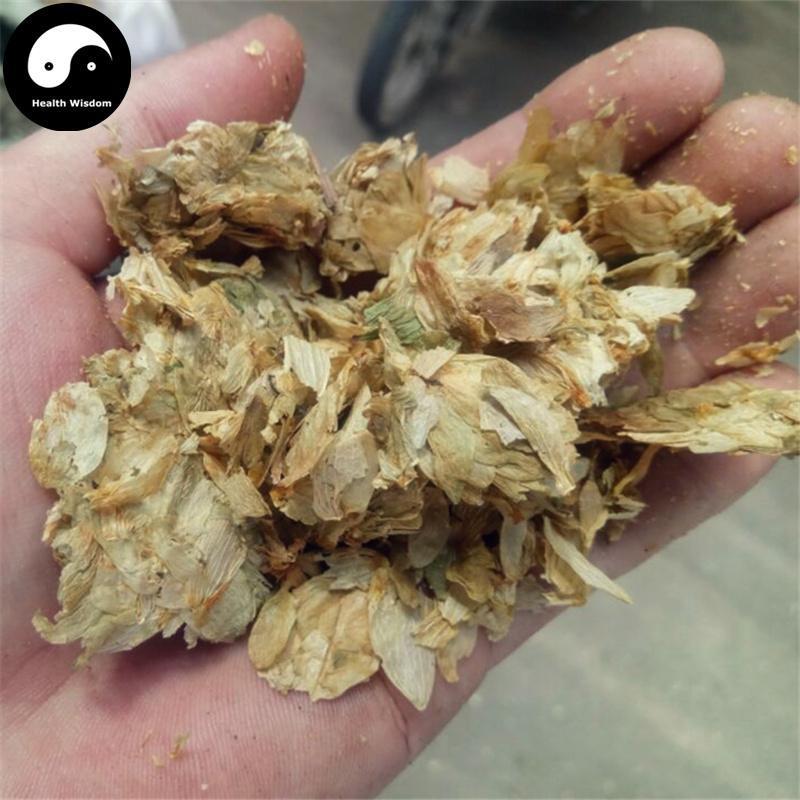 Pi Jiu Hua 啤酒花, Flos Humuli Lupuli, European Hop Flower, She Ma Hua-Health Wisdom™