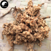 Pi Pa Hua 枇杷花, Loquat Flower Tea, Flos Eriobotrya Japonica-Health Wisdom™