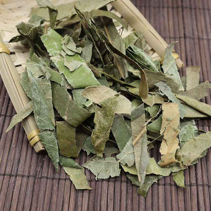 Pi Pa Ye 枇杷葉, Folium Eriobotryae, Loguat Leaf Tea-Health Wisdom™