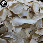 Pleurotus Eryngii, King Oyster Mushroom, エリンギ, Xing Bao Gu 杏鮑菇-Health Wisdom™