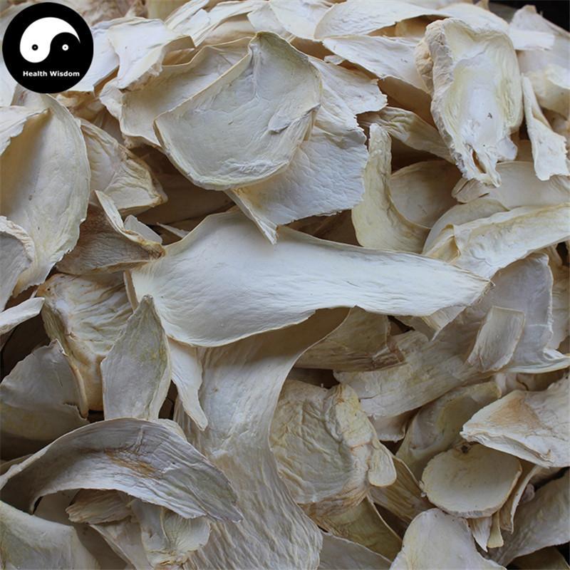 Pleurotus Eryngii, King Oyster Mushroom, エリンギ, Xing Bao Gu 杏鮑菇-Health Wisdom™
