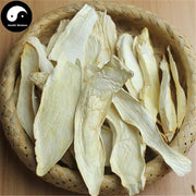 Pleurotus Eryngii, King Oyster Mushroom, エリンギ, Xing Bao Gu 杏鮑菇-Health Wisdom™