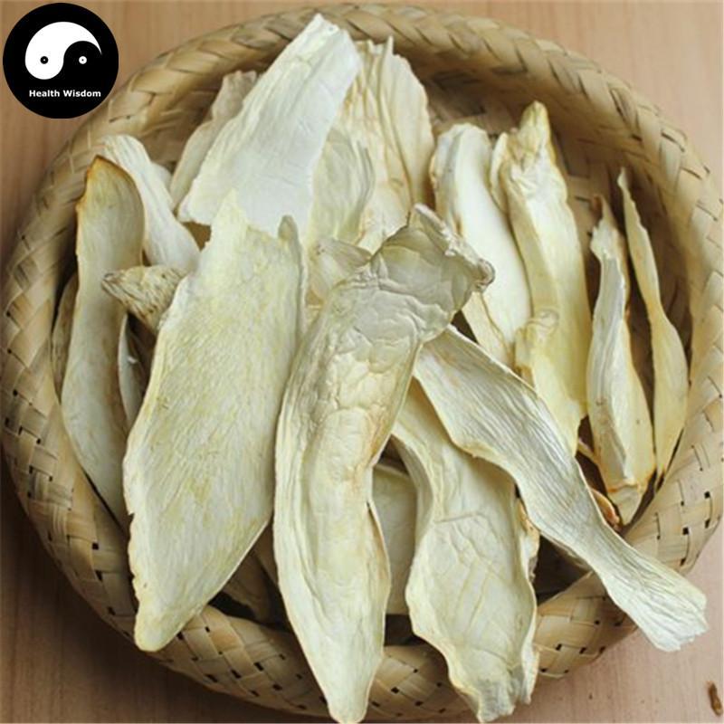 Pleurotus Eryngii, King Oyster Mushroom, エリンギ, Xing Bao Gu 杏鮑菇-Health Wisdom™