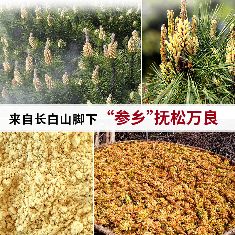 Po Bi Song Hua Fen 破壁松花粉, Pure Pine Pollen Powder, Shell-broken Pine Pollen-Health Wisdom™