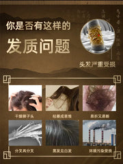 Polygonum Multiflorum Plant Extract Moisturizing Shampoo White Hair To Black Hair No Silicone Oil Shampoo-Health Wisdom™