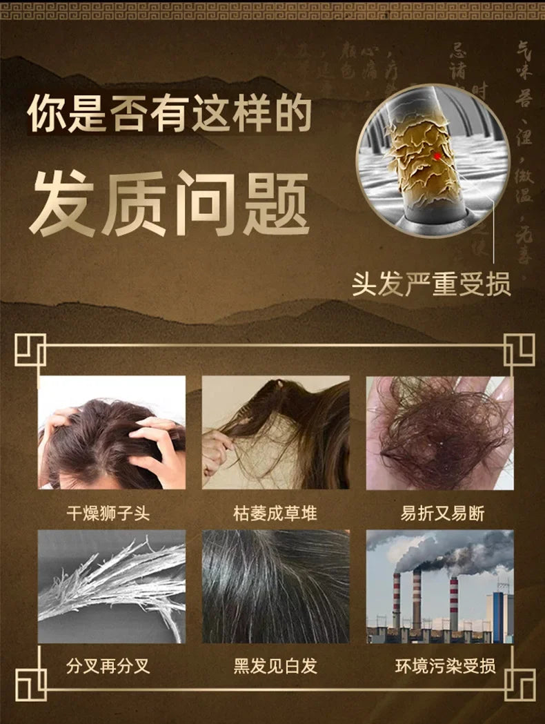 Polygonum Multiflorum Plant Extract Moisturizing Shampoo White Hair To Black Hair No Silicone Oil Shampoo-Health Wisdom™