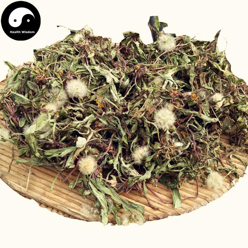 Pu Gong Ying 蒲公英, Herba Taraxaci, Mongolian Dandelion Herb, Po Po Ding-Health Wisdom™