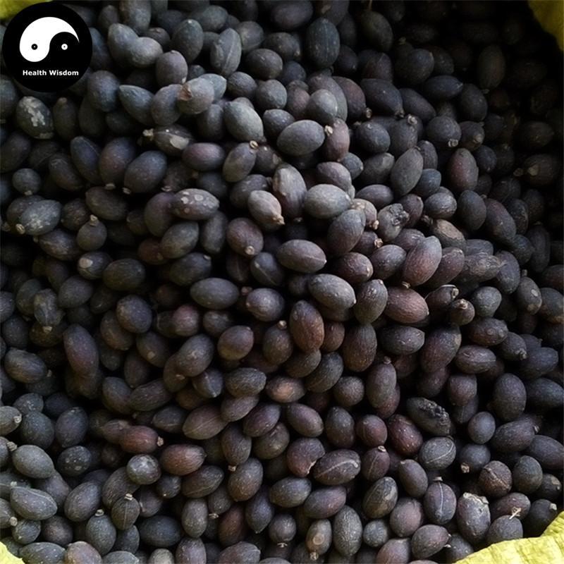 Pu Kui Zi 蒲葵子, Chinese Fanpalm Seed, Semen Livistonae Chinensis-Health Wisdom™