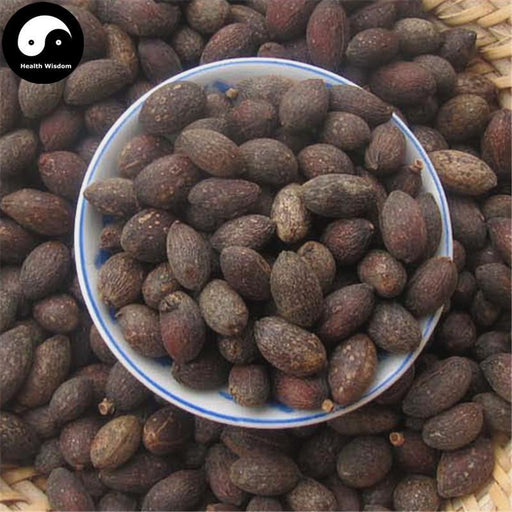 Pu Kui Zi 蒲葵子, Chinese Fanpalm Seed, Semen Livistonae Chinensis-Health Wisdom™