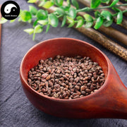 Pu Tao Zi 葡萄籽, Grape Seed, Vitis Vinifera-Health Wisdom™