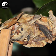 Pu erh Tea 250g,Raw Buds Puer Cha,Aged 2012-Health Wisdom™