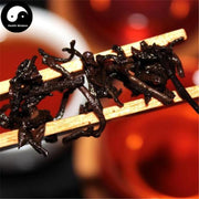 Pu erh Tea Ripe Loose Puer,Aged 2005-Health Wisdom™