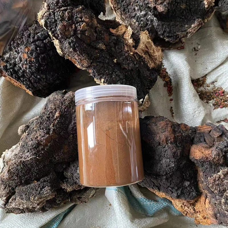 Pure Inonotus Obliquus Powder, Chaga Mushroom Powder, Bai Hua Shu Rong 白桦树茸-Health Wisdom™