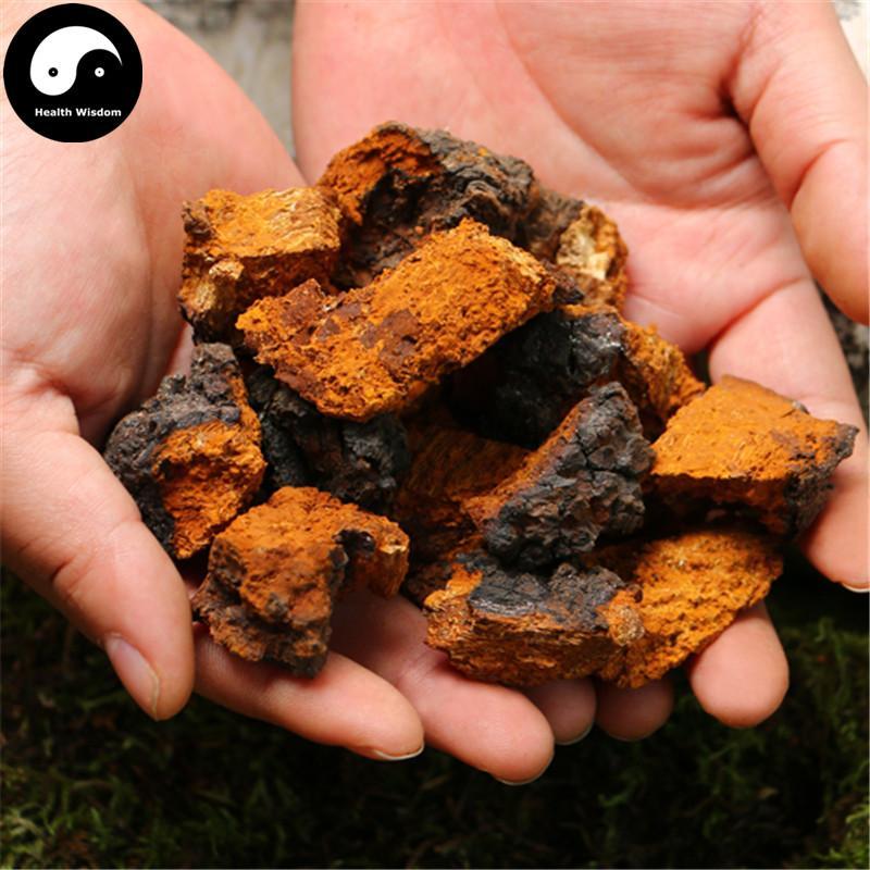 Pure Inonotus Obliquus Powder, Chaga Mushroom Powder, Bai Hua Shu Rong 白桦树茸-Health Wisdom™