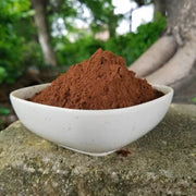 Pure Phellinus Linteus Powder, Mesima, Meshimakobu, Song-Gen, Sang-Hwang, Sang Huang 桑黄-Health Wisdom™