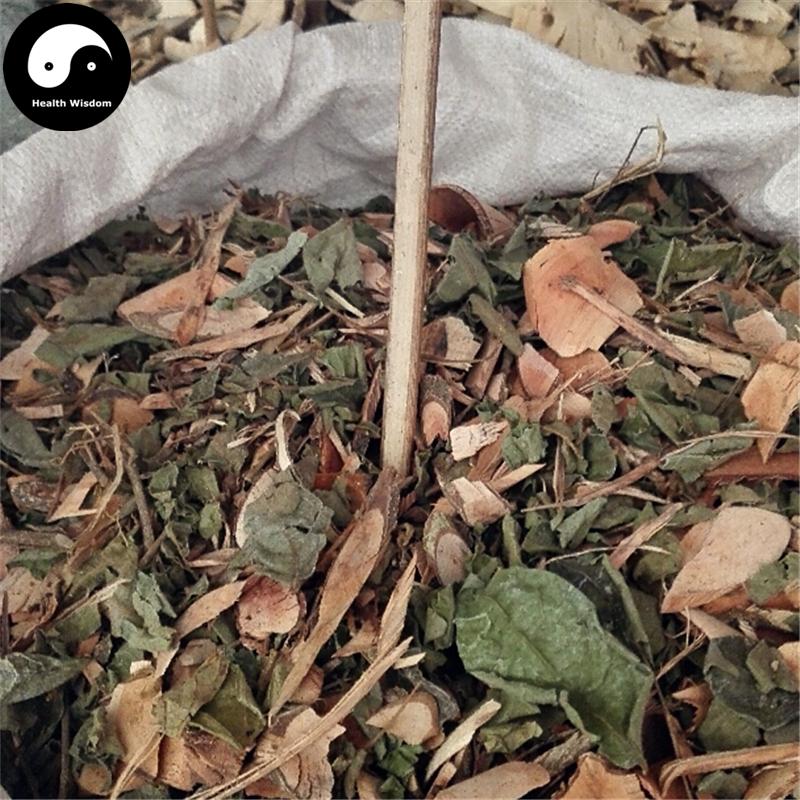Qi Da Gu 漆大姑, Suan Pan Zi, Ye Nan Gua, Folium Glochidii Puberi-Health Wisdom™