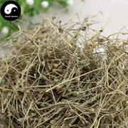 Qi Gu Cao 漆姑草, Herba Sagina Japonica, Zhen Zhu Cao-Health Wisdom™