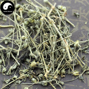 Qi Gu Cao 漆姑草, Herba Sagina Japonica, Zhen Zhu Cao-Health Wisdom™