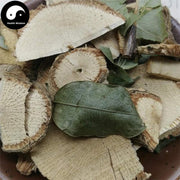 Qi Ye Lian 七叶莲, Schefflera Arboricola Hayata Root-Health Wisdom™