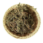 Qian Ceng Ta 千层塔, Dried Herba Huperzia Serrata, Jin Bu Huan-Health Wisdom™