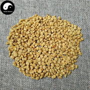 Qian Niu Zi 牵牛子, Bai Chou, White Semen Pharbitidis, Pharbitis Seed-Health Wisdom™