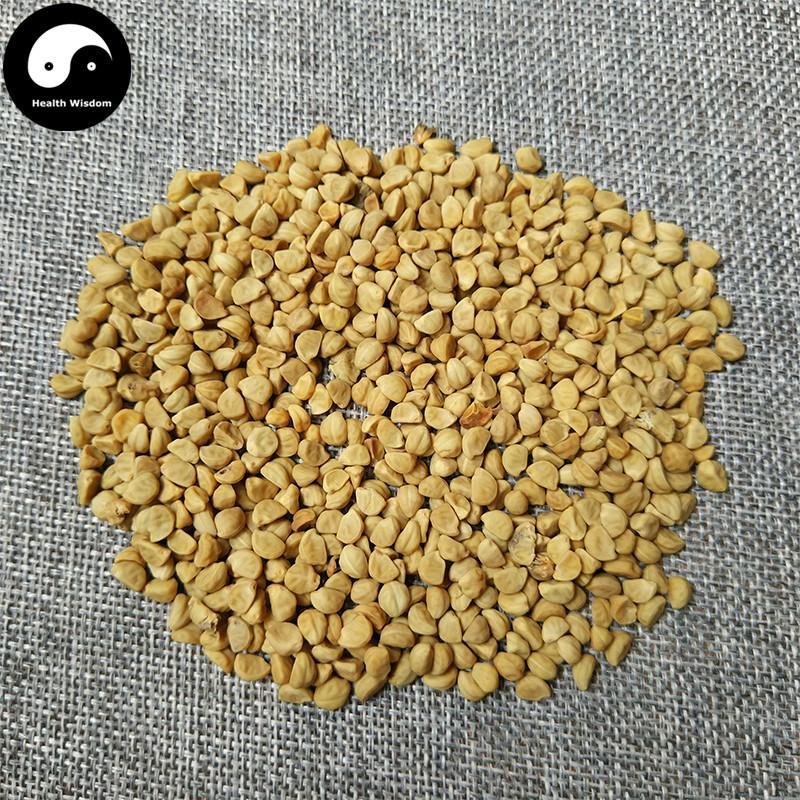 Qian Niu Zi 牵牛子, Bai Chou, White Semen Pharbitidis, Pharbitis Seed-Health Wisdom™
