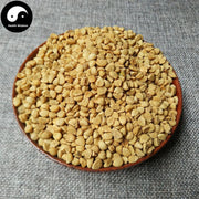 Qian Niu Zi 牵牛子, Bai Chou, White Semen Pharbitidis, Pharbitis Seed-Health Wisdom™