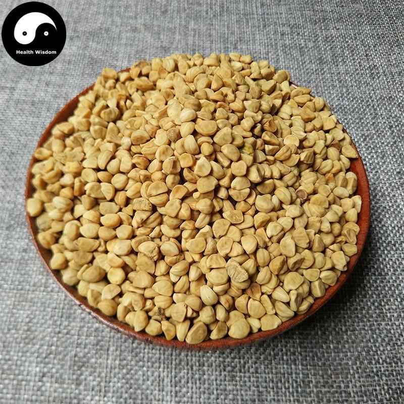 Qian Niu Zi 牵牛子, Bai Chou, White Semen Pharbitidis, Pharbitis Seed-Health Wisdom™