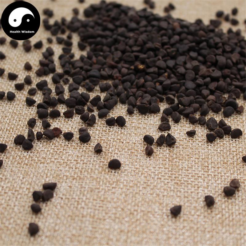Qian Niu Zi 牵牛子, Hei Chou, Black Semen Pharbitidis, Pharbitis Seed-Health Wisdom™