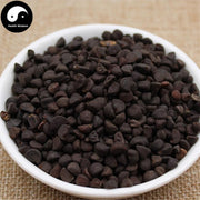 Qian Niu Zi 牵牛子, Hei Chou, Black Semen Pharbitidis, Pharbitis Seed-Health Wisdom™