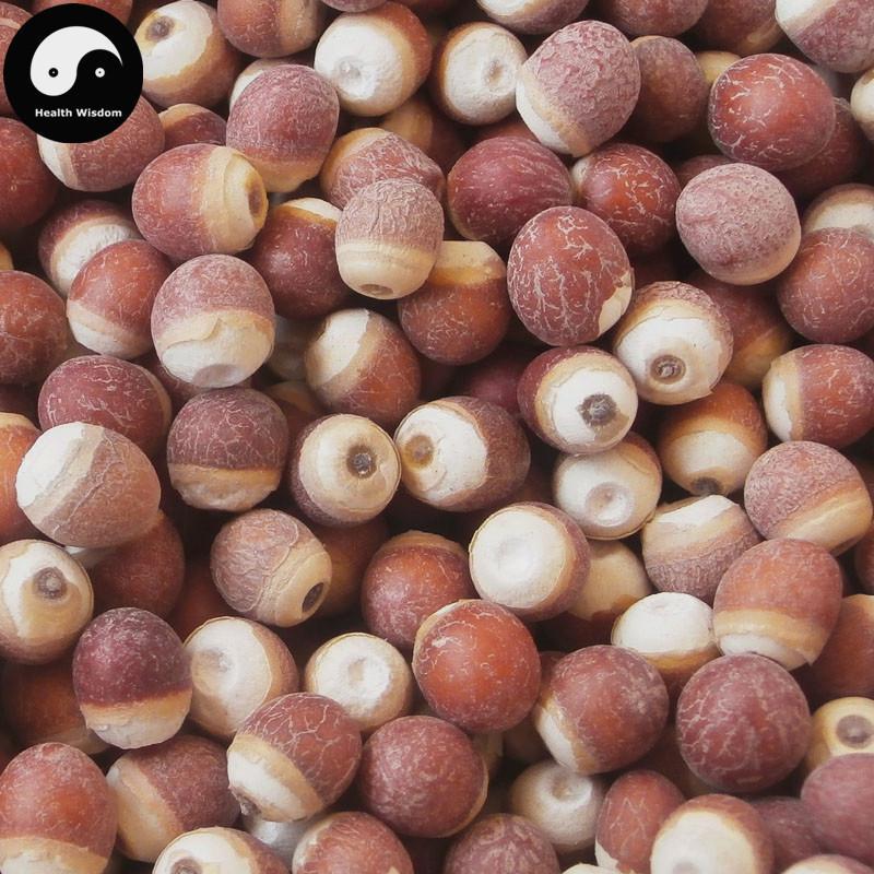 Qian Shi 芡實, Gorgon fruit, Gordon Euryale Seed, Semen Euryales, Ji Tou Mi-Health Wisdom™