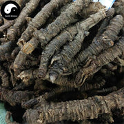 Qiang Huo 羌活, Radix Notopterygii, Notopterygium Incisum Root-Health Wisdom™