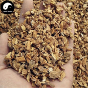 Qin Jiao 秦艽, Radix Gentianae Macrophyllae, Largeleaf Gentian Root-Health Wisdom™