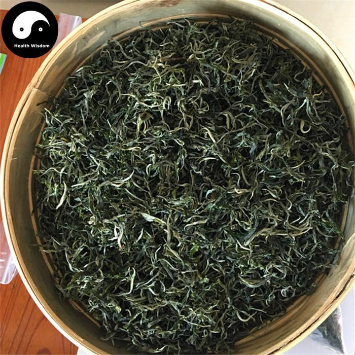 Qing Cheng Xue Ya 青城雪芽 Green Tea Mountain Qing Cheng Snowy Sprout-Health Wisdom™