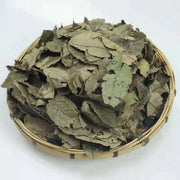 Qing Qian Liu Ye 青钱柳叶, Cyclocarya Paliurus Leaf Tea, Lower Blood Pressure Herba Tea-Health Wisdom™
